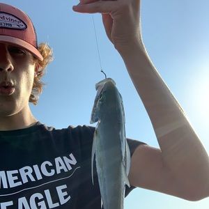 Meet your Posher, Shawne